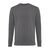 Iqoniq Zion recycled cotton crew neck, anthracite