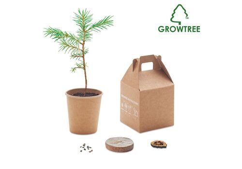 Pine tree set