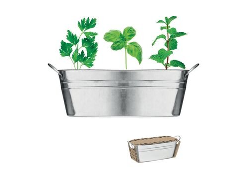 Zinc tub with 3 herbs seeds