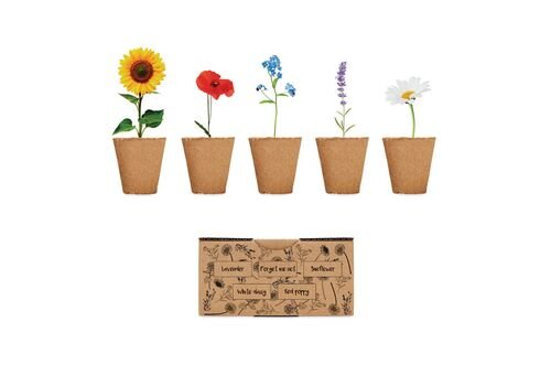 Flowers growing kit