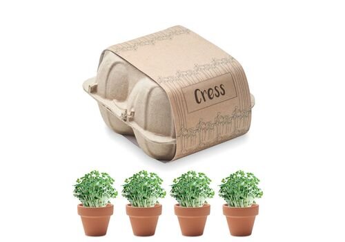 Egg carton growing kit