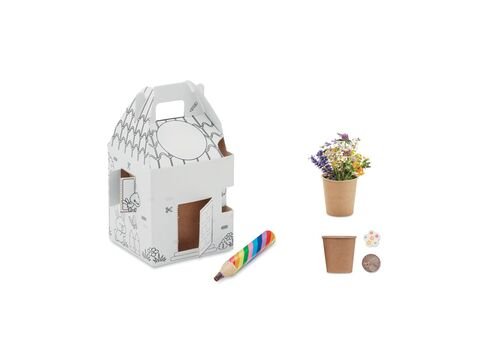 House shaped seeds grow set