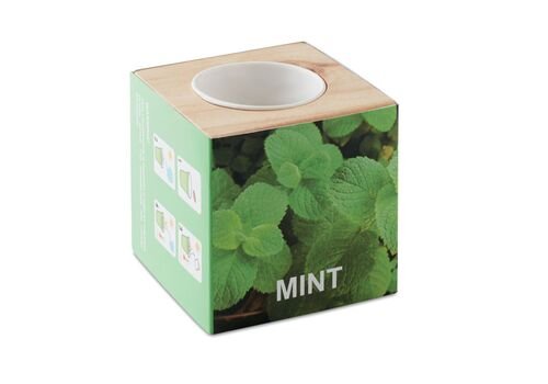 Vaistažolių vazonas „MINT“