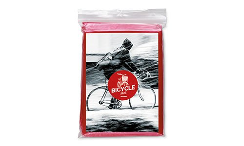 Skaitmeninio įdėklo pavyzdys 3